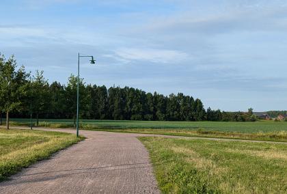 A path between grass and trees on a sunny day