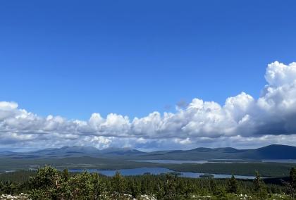 Scenery from the top of Särkitunturi fell in Lapland during a sunny day