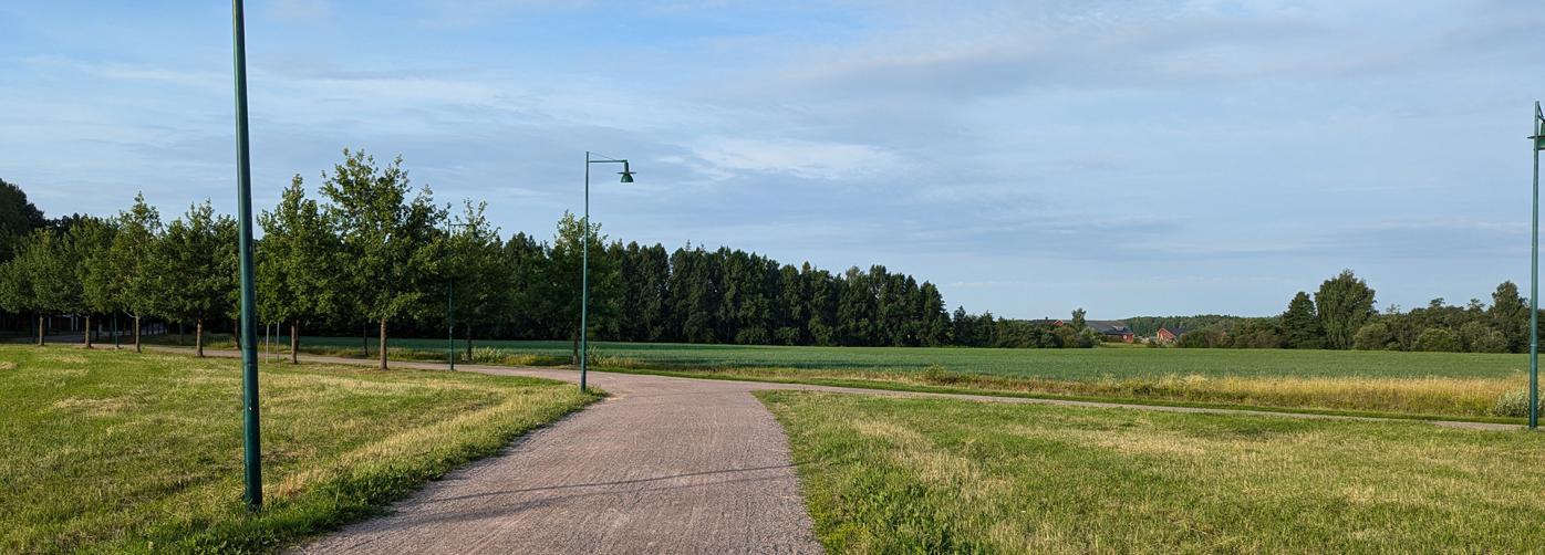 A path between grass and trees on a sunny day