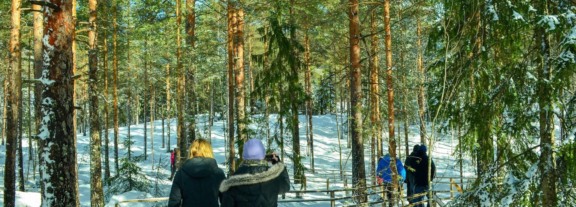 Picture from Nuuksio National Park in Finland